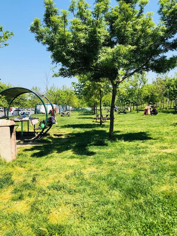 Mio’s İstanbul fotoğraf 7