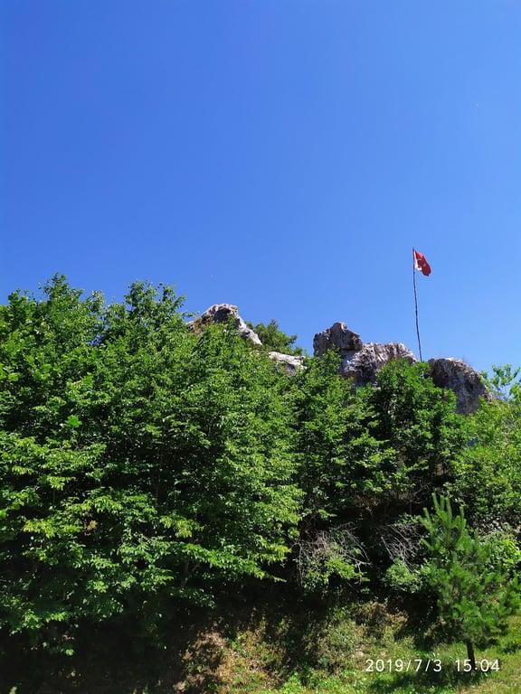 Çınar Lokantası fotoğraf 3