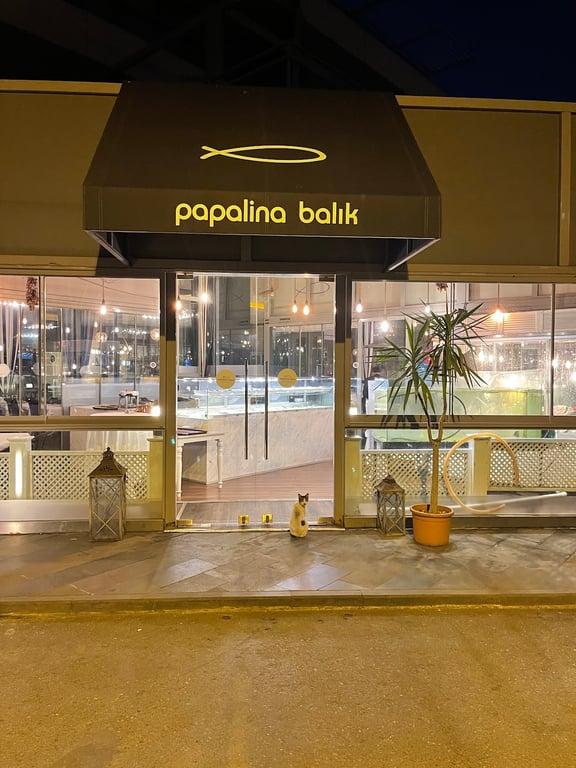 Papalina Balık Restoranı Ataköy Marina fotoğraf 6