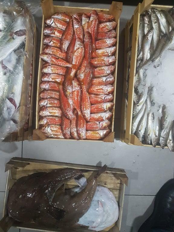 Porto Balık fotoğraf 3