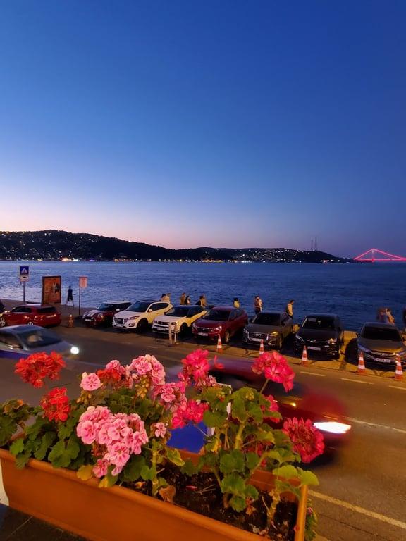 Therapia Boğaz Balık fotoğraf 6