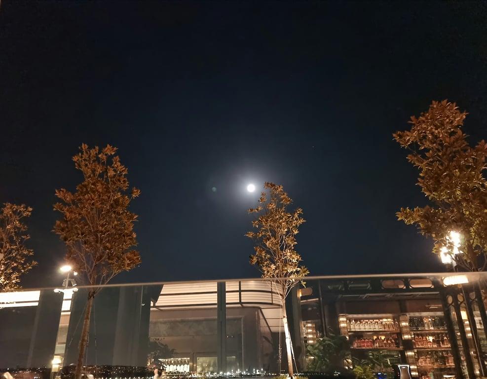 Liman fotoğraf 9