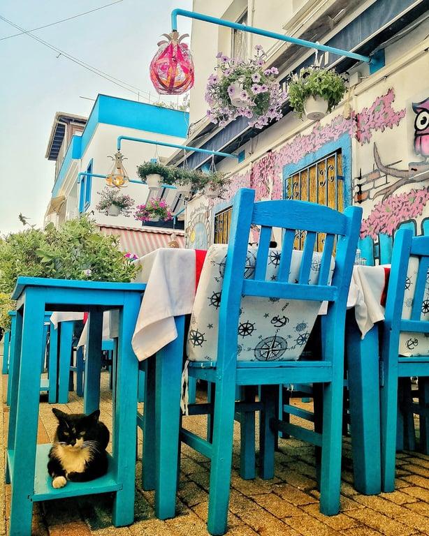 DELİ MAVİ RESTAURANT fotoğraf 7