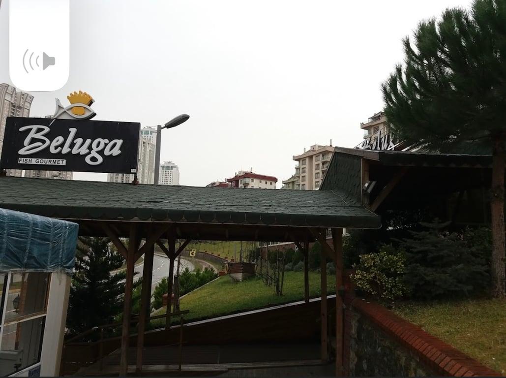 Beluga Fish Gourmet | Ataşehir fotoğraf 3