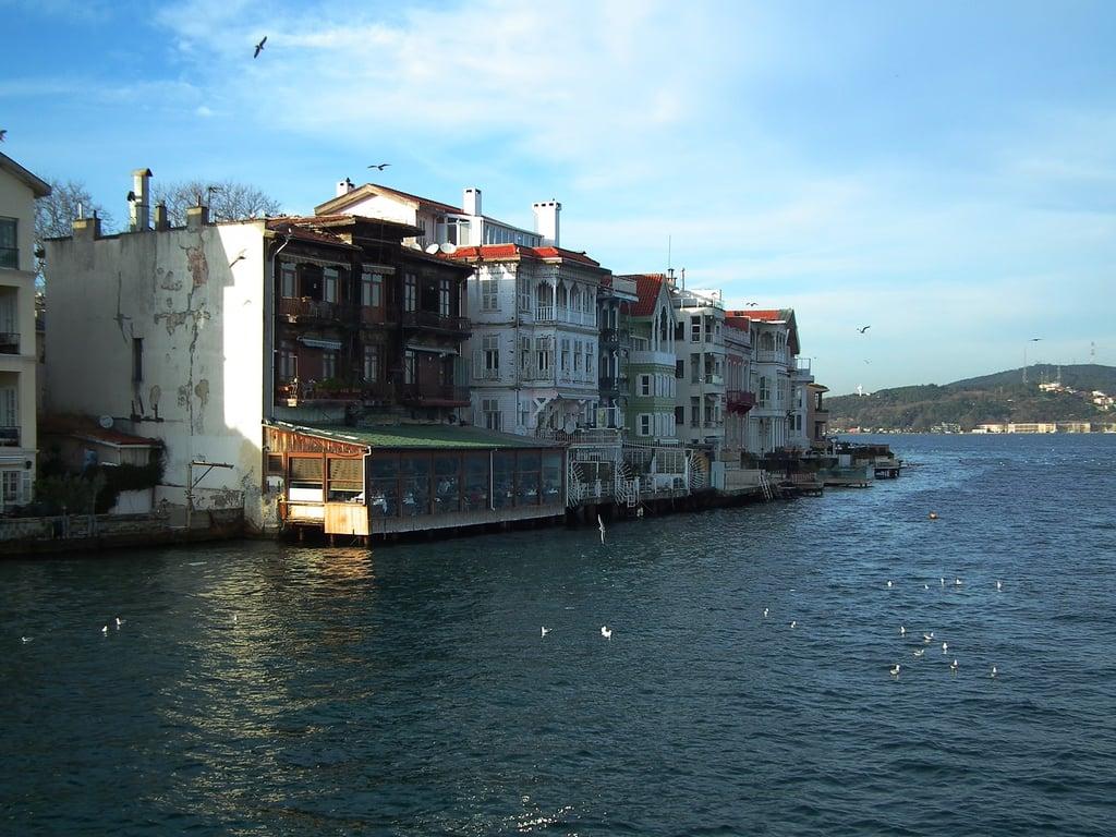 Yeniköy İskele Restaurant fotoğraf 10