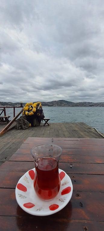 Taka balık fotoğraf 6