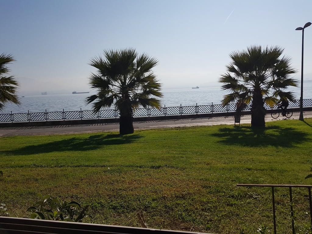 Romano fotoğraf 5