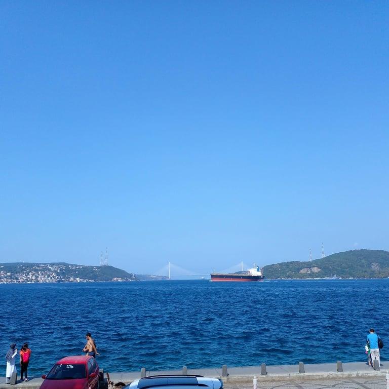 Therapia Boğaz Balık fotoğraf 3
