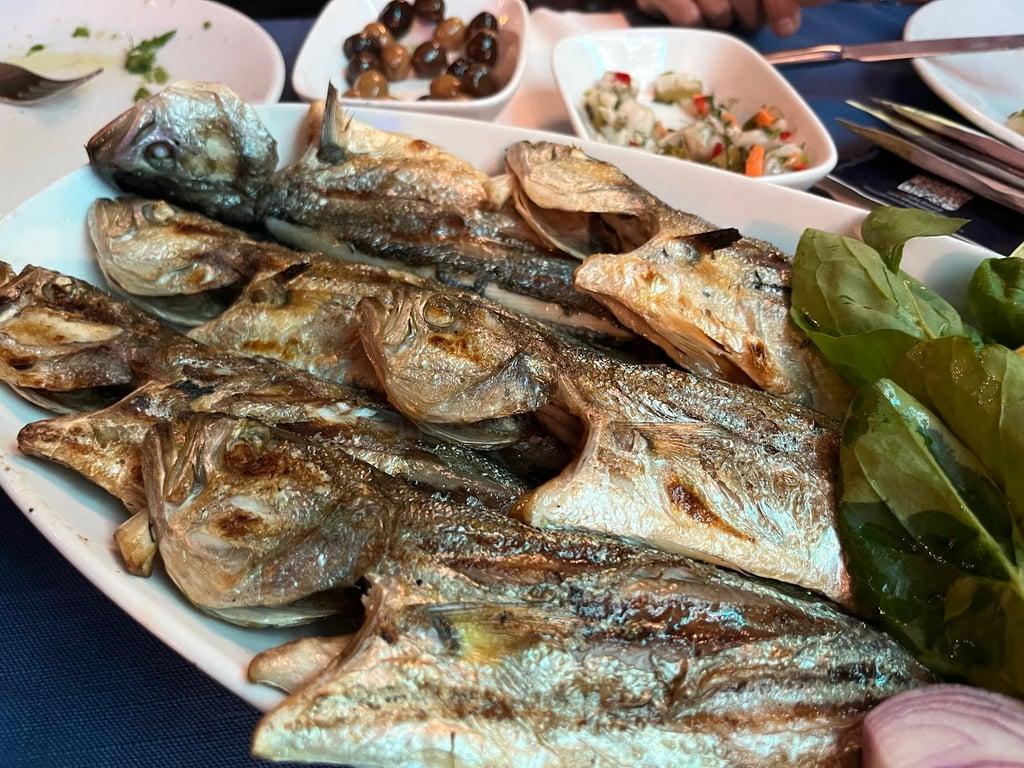 Yeşilköy Balıkçısı fotoğraf 9