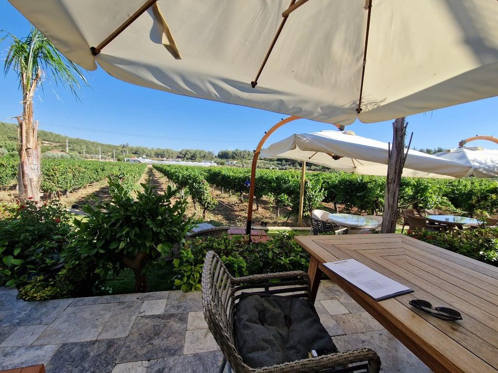 ÇAKIR Winery & Vineyards/ ÇAKIR Şarapçılık & Bağcılık fotoğraf 6