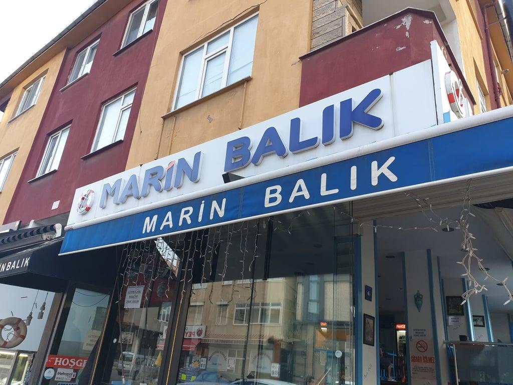 Marin balik fotoğraf 4