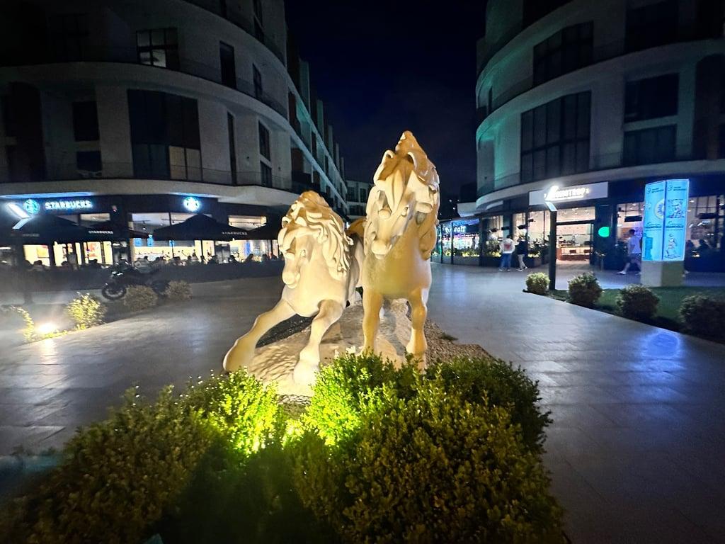 Kronotrop Beylikdüzü İn Mari fotoğraf 8