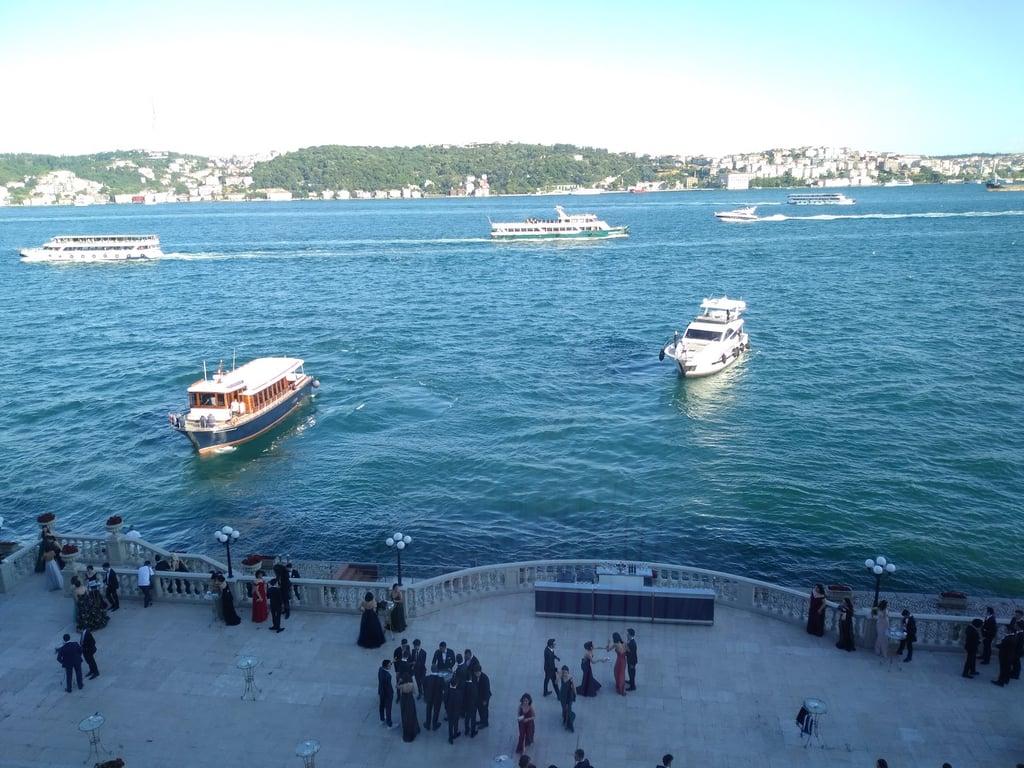 Meraklı Balık fotoğraf 2