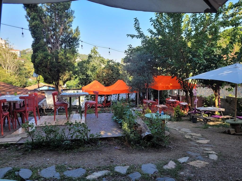 Saranın Bahçesi fotoğraf 7