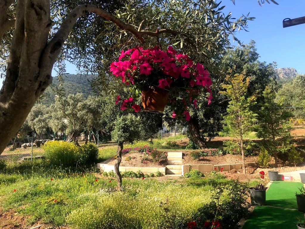 Zahter Kahvaltı Evi & Restaurant fotoğraf 6