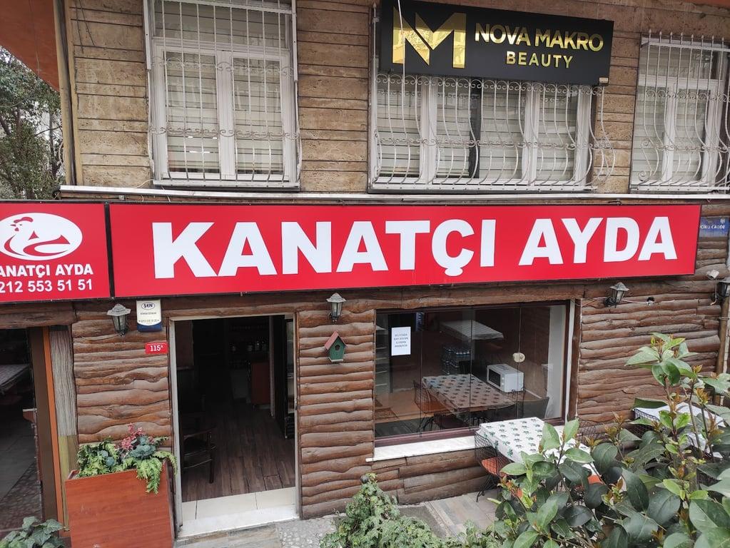 Kanatçı Ayda fotoğraf 5