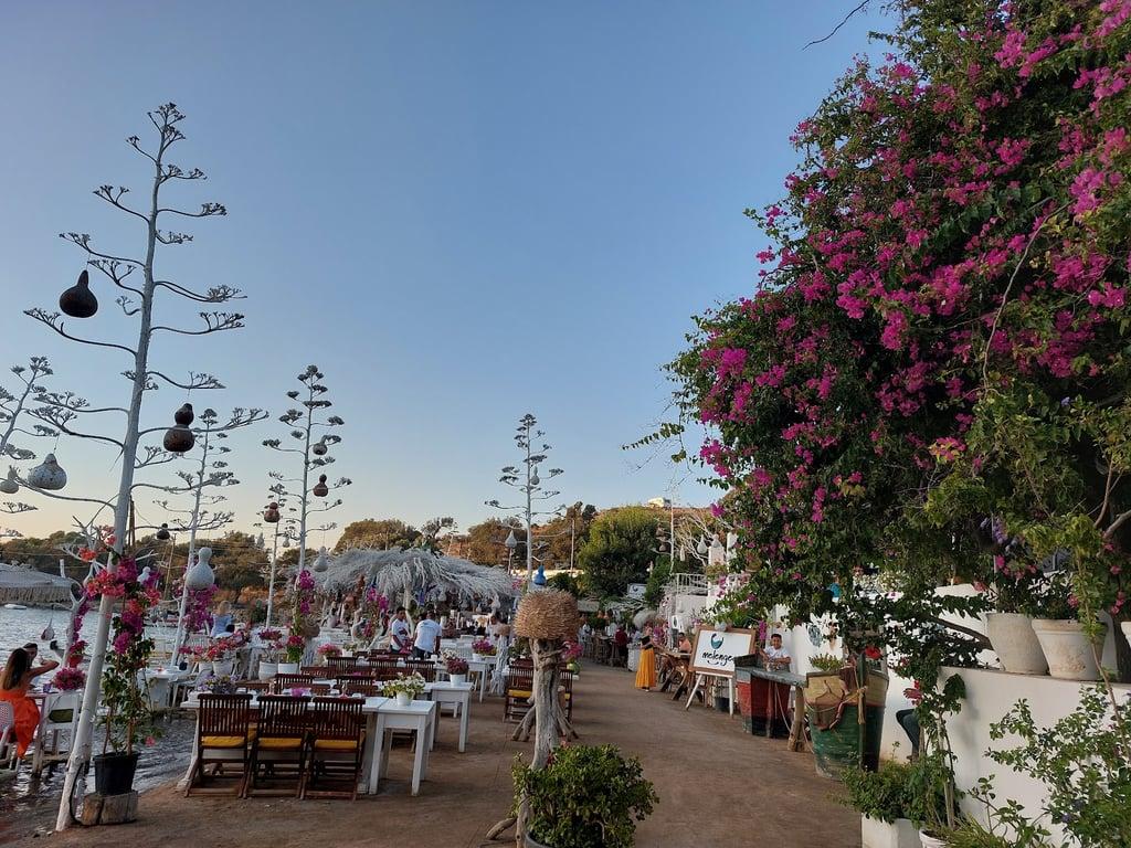 Mimoza Gümüşlük Restaurant fotoğraf 8