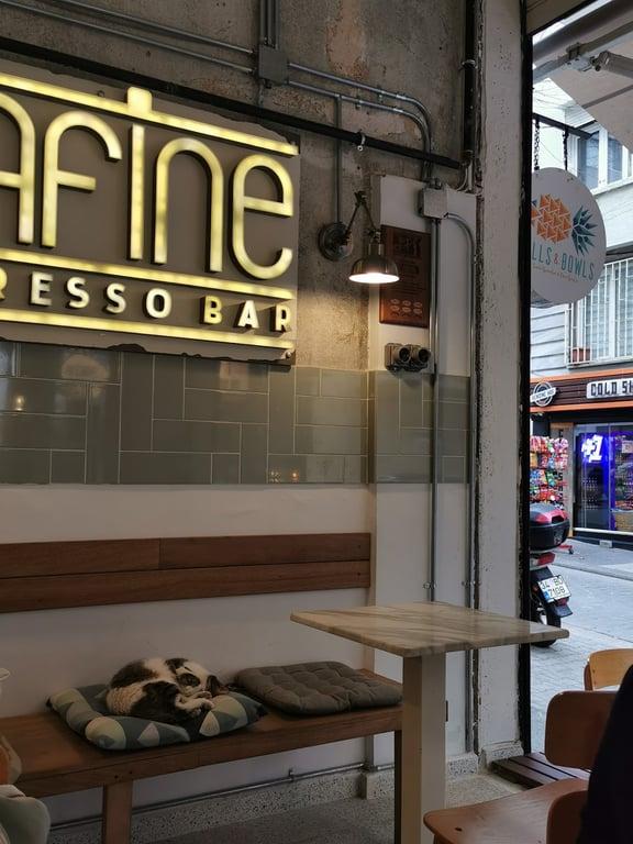 Rafine Moda - Fine Cuisine fotoğraf 2