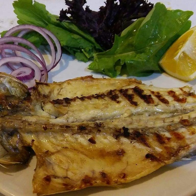 Tekir Balık fotoğraf 6
