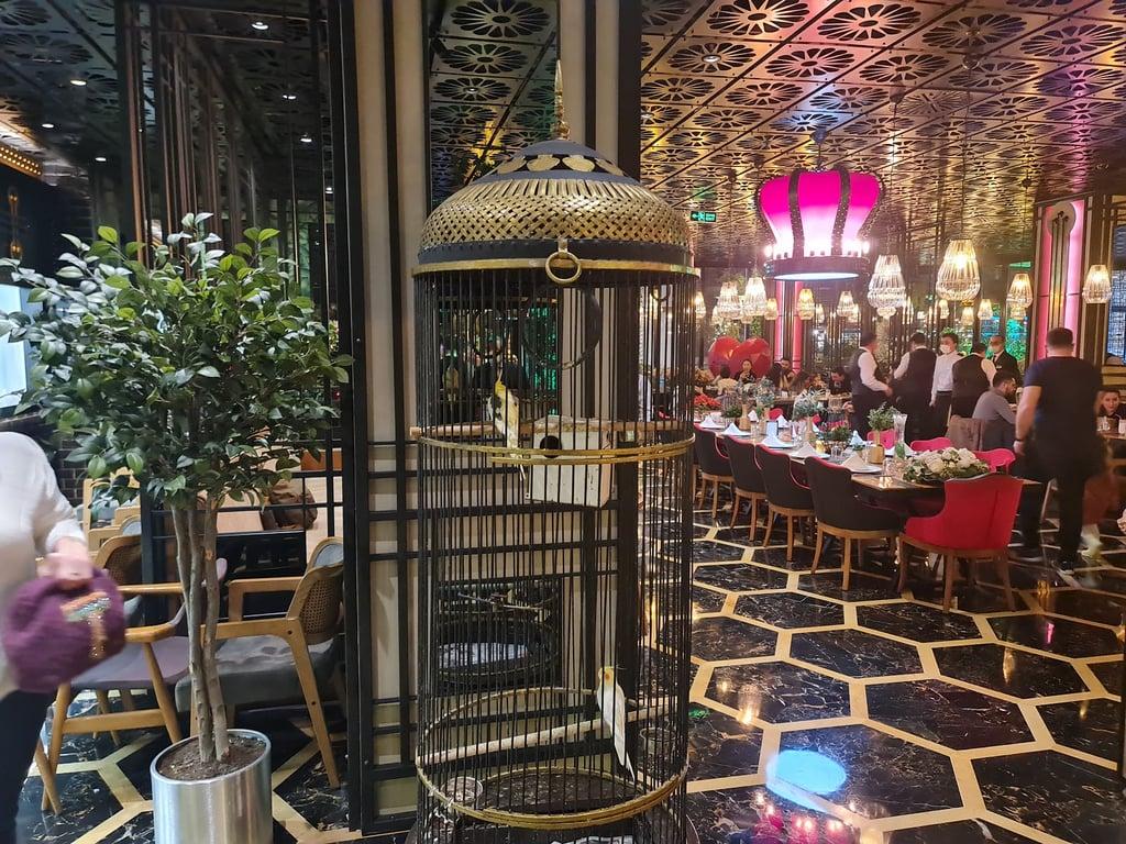 Kaşıbeyaz Ataşehir fotoğraf 8