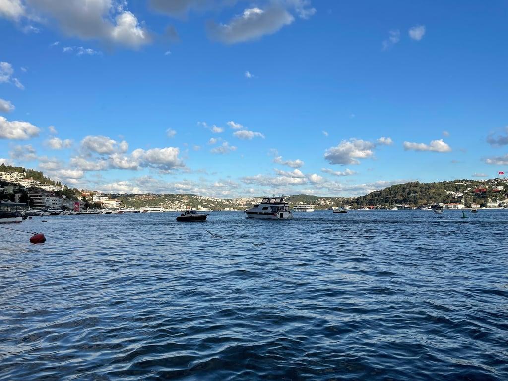 Bebek Balıkçı fotoğraf 7