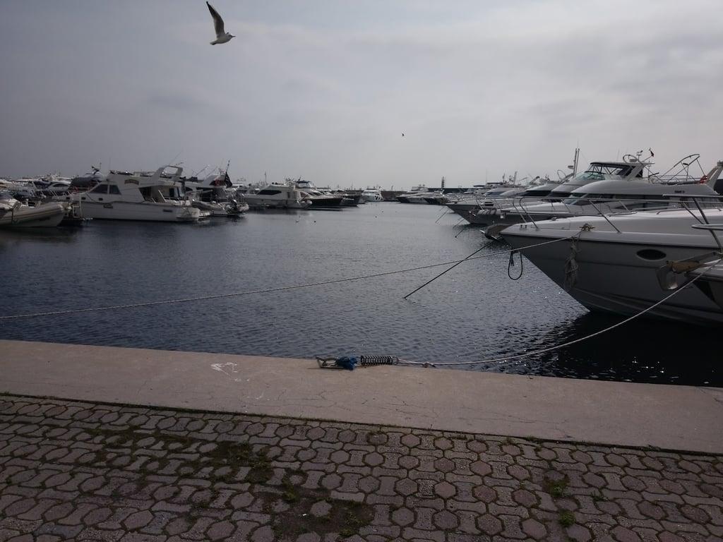 Marina Filika Meyhane fotoğraf 6