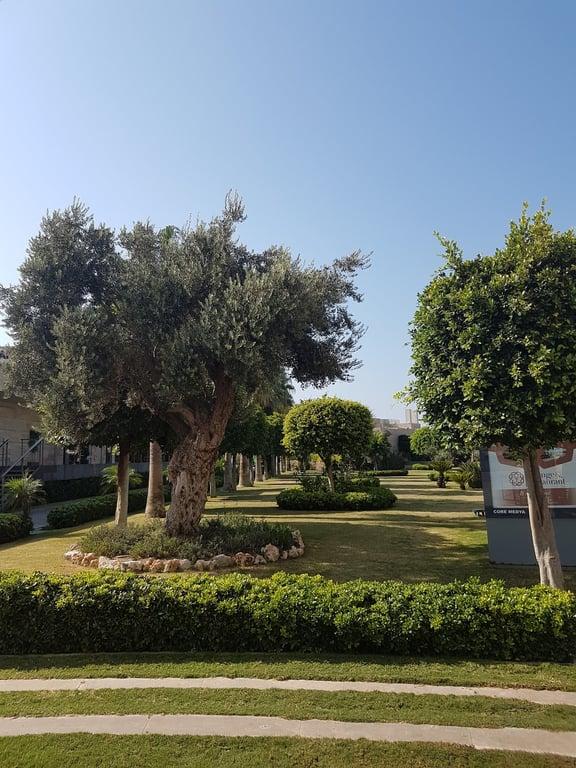 Köşebaşı Türkbükü fotoğraf 10
