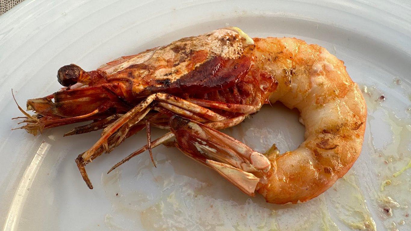Ferdi Baba Restaurant - Çeşme Marina fotoğraf 3