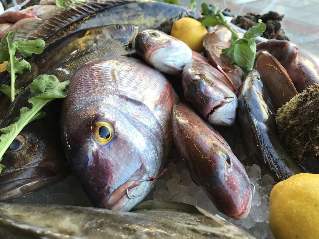 Manias fish tavern fotoğraf 9
