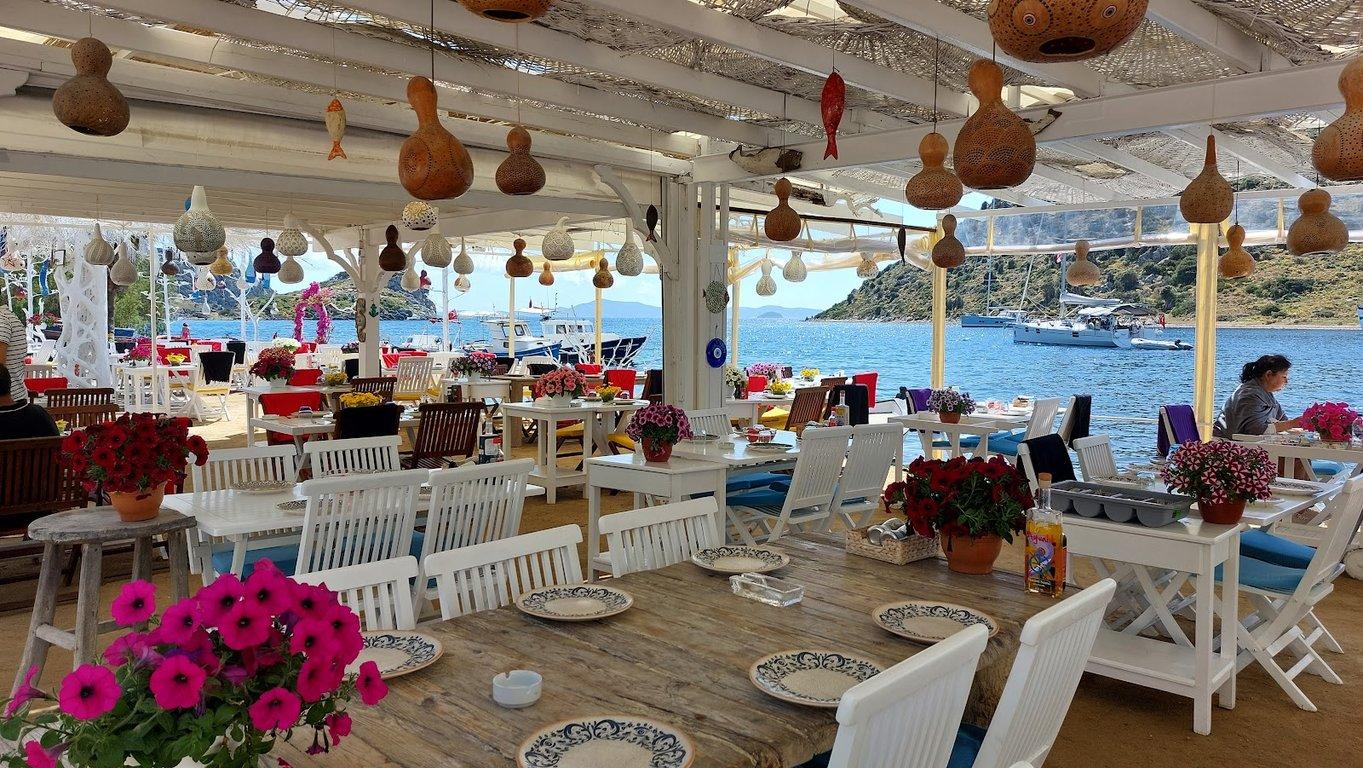 Mimoza Gümüşlük Restaurant fotoğraf 4