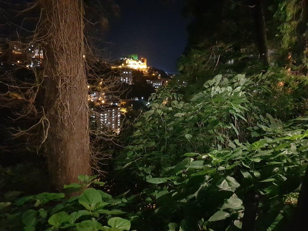ÇAYLA RİZE fotoğraf 8