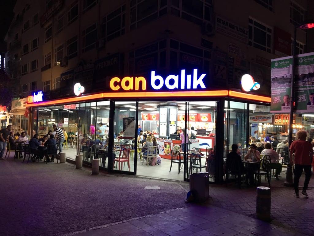 Can Balık fotoğraf 5