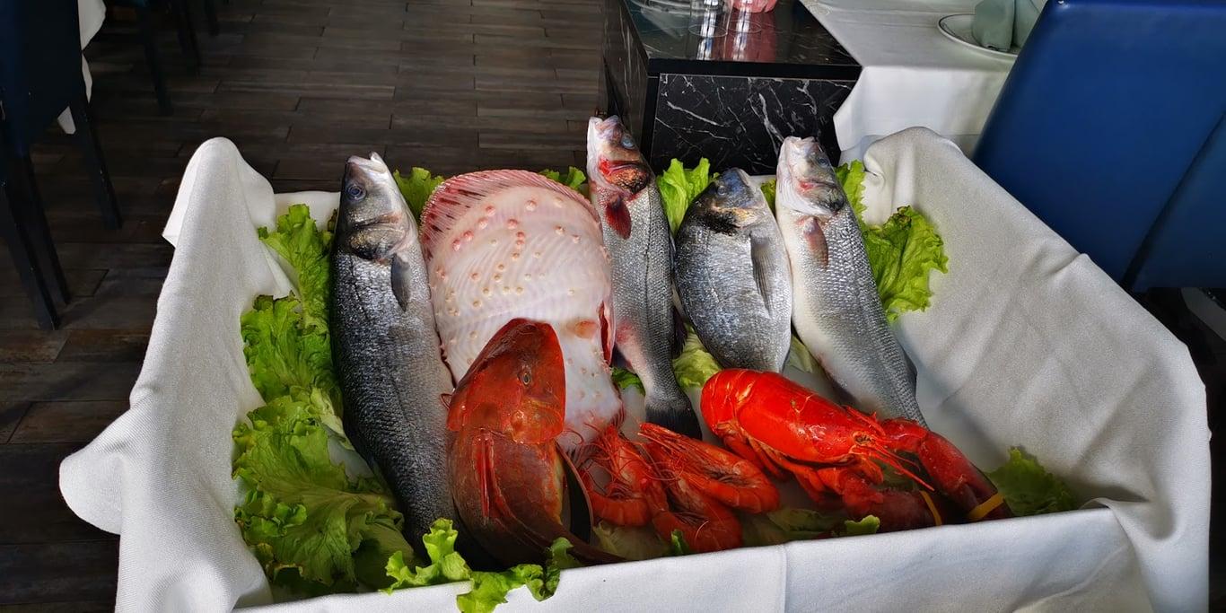 Yaka Balık Restaurant fotoğraf 4