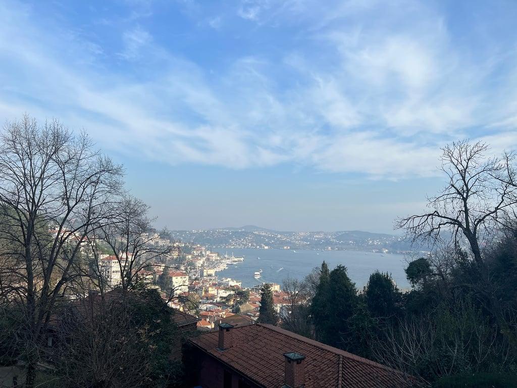 Momo Bebeköy fotoğraf 3