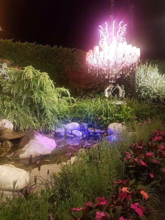 Kile Restaurant fotoğraf 8