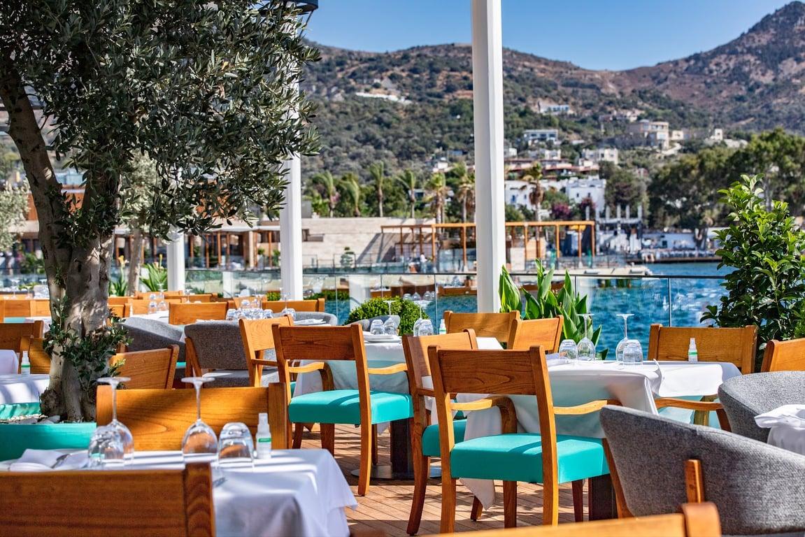 Novikov Bodrum fotoğraf 9