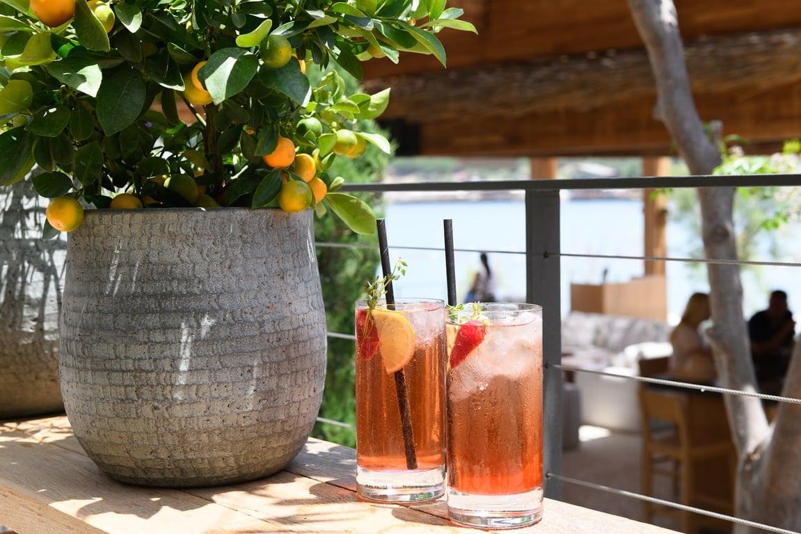Morena Bodrum fotoğraf 3