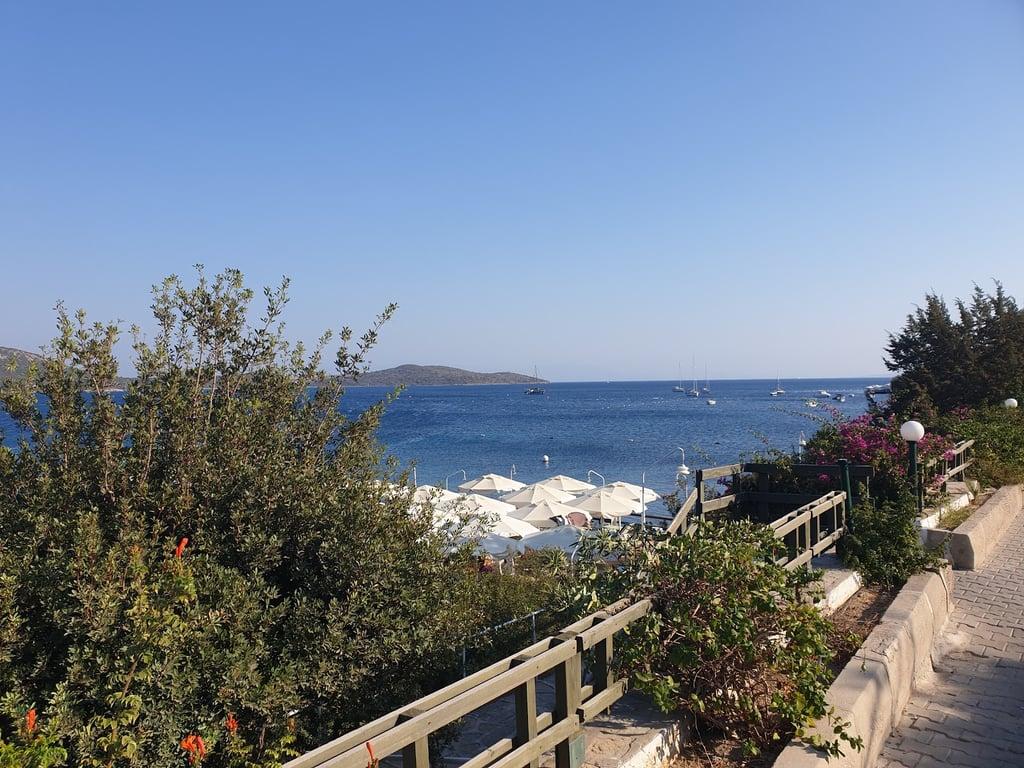 Archipelago Restaurant fotoğraf 6