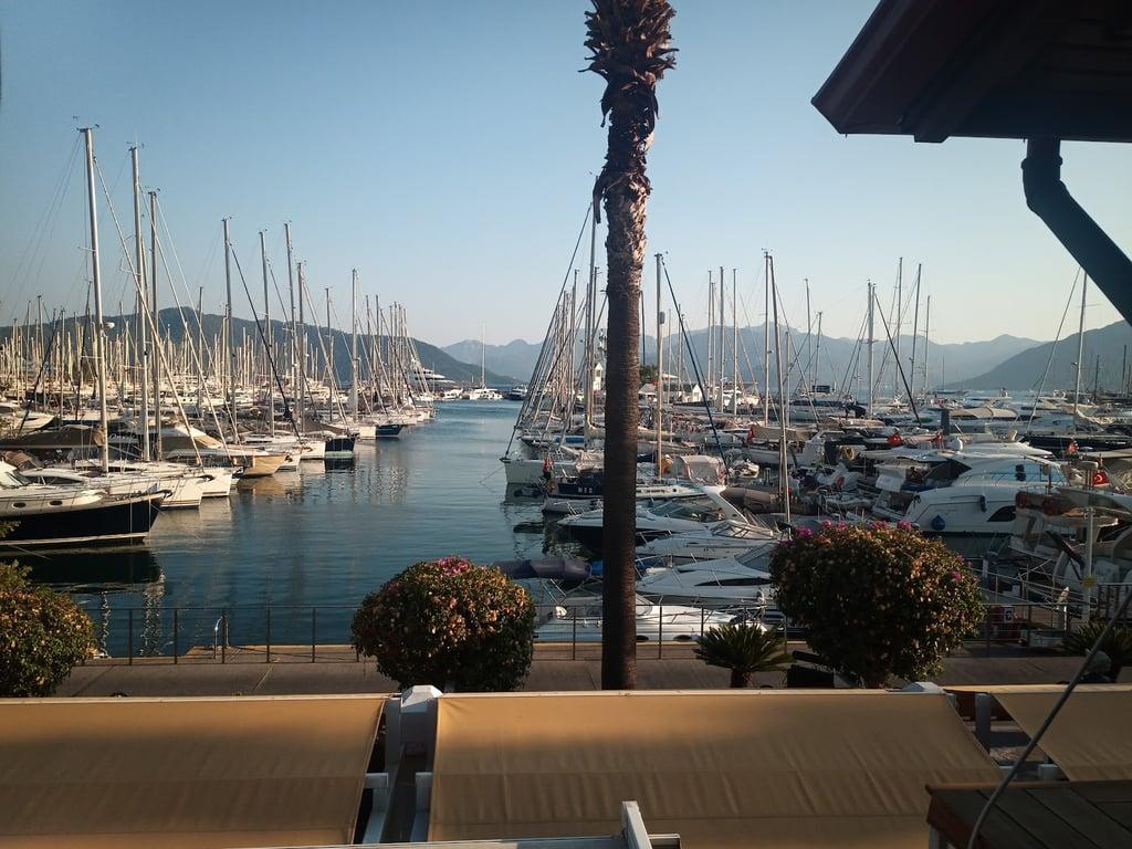 Pineapple Restaurant fotoğraf 6