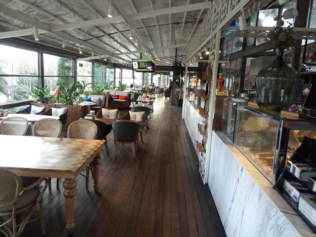 Koru İstanbul Kuruçeşme fotoğraf 6