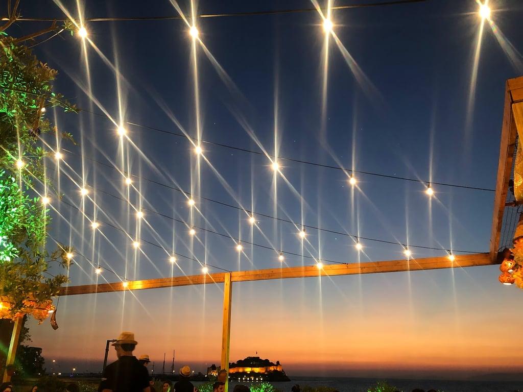 Nalan Meyhane fotoğraf 3
