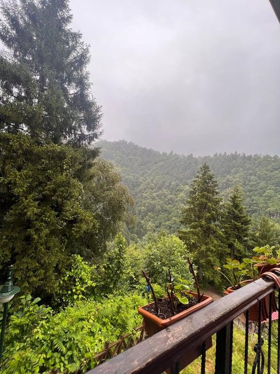 Cansuyu cafe & restaurant fotoğraf 5
