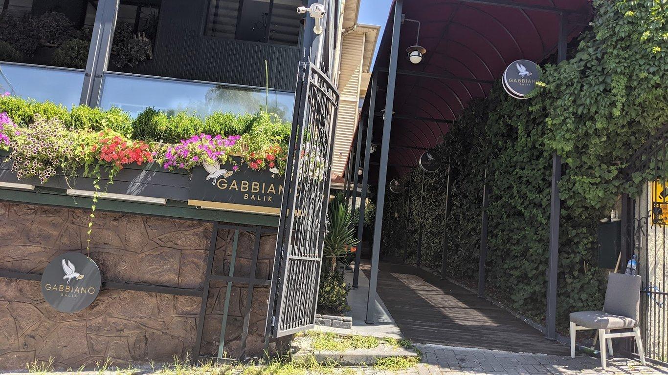 Gabbiano Balık fotoğraf 6