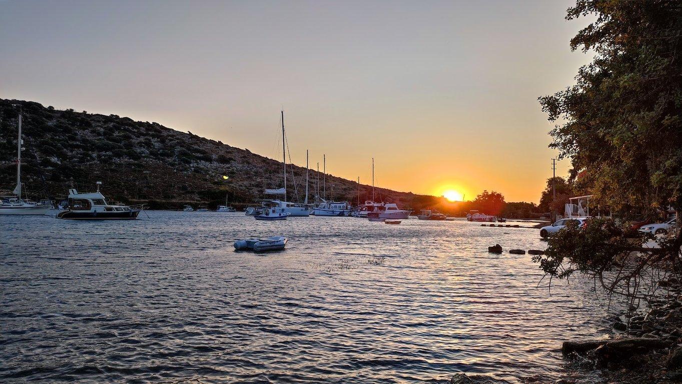 Mimoza Gümüşlük Restaurant fotoğraf 6