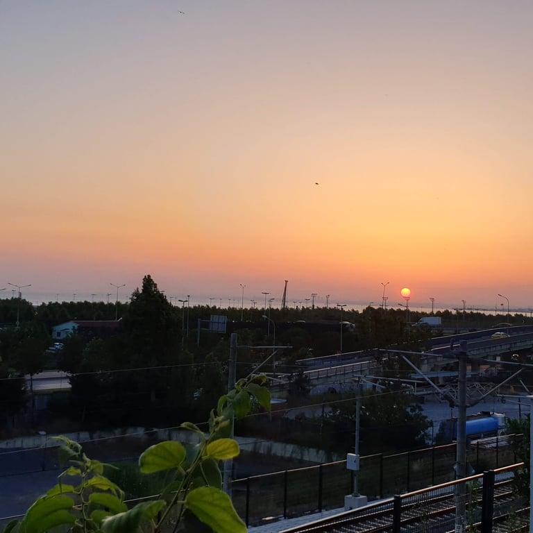 Mest Balık Restaurant fotoğraf 2