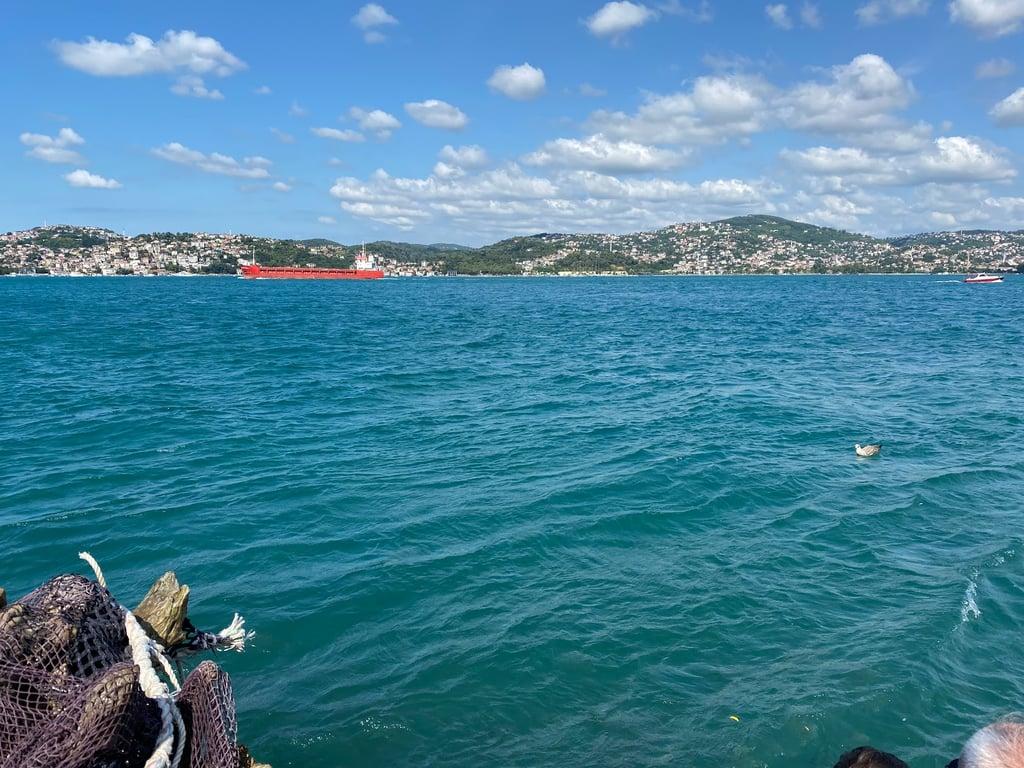 Yeniköy balık ekmek fotoğraf 2