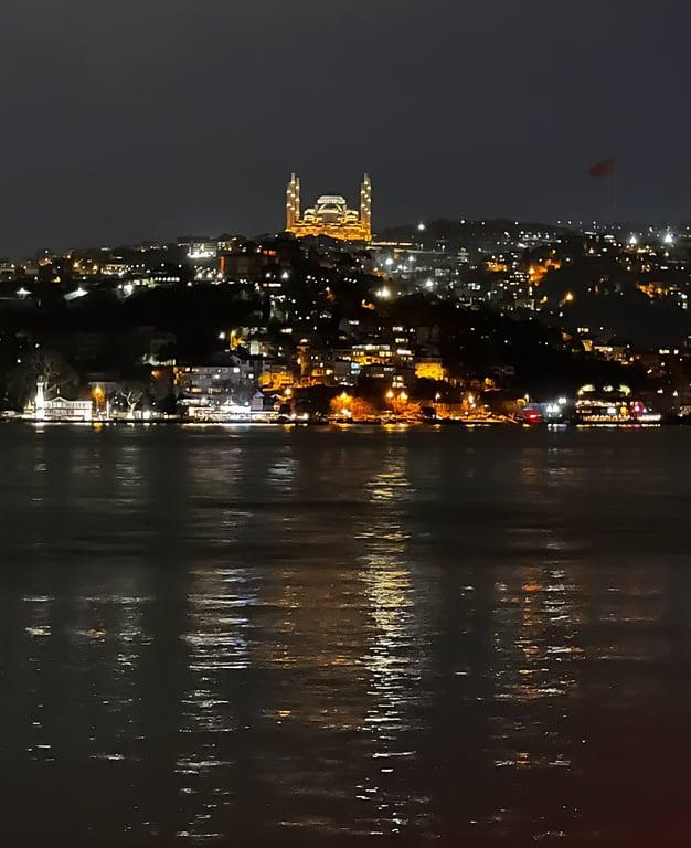 Arnavutköy İskele Balık fotoğraf 3