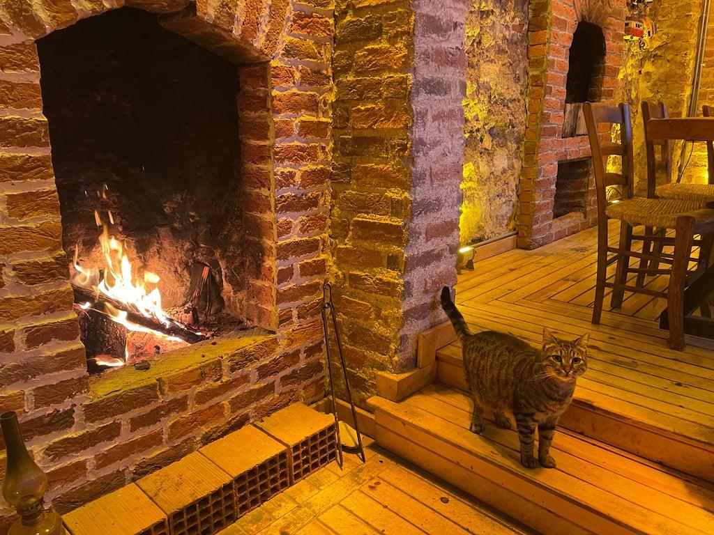 Fish Home Ahır Kapı Restaurant fotoğraf 6