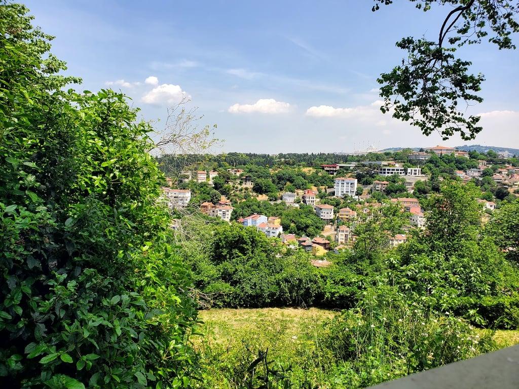 Dilruba İstanbul fotoğraf 16