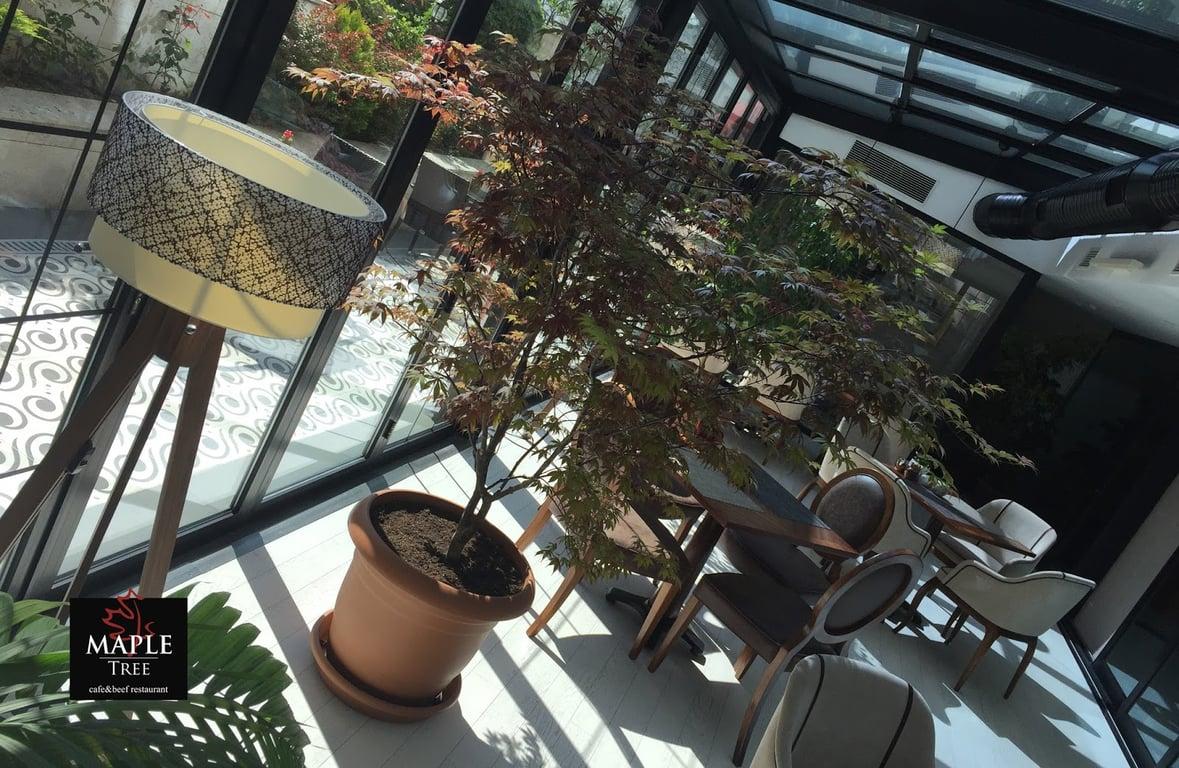 Maple Tree Restaurant fotoğraf 9